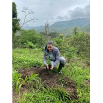 Alegria BIO 1