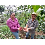 Alegria BIO 4