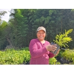 Alegria BIO 3