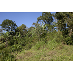 COMSA_Adin Ramos_Casa Vieja (20)