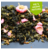 oolong-aux-pralines-roses