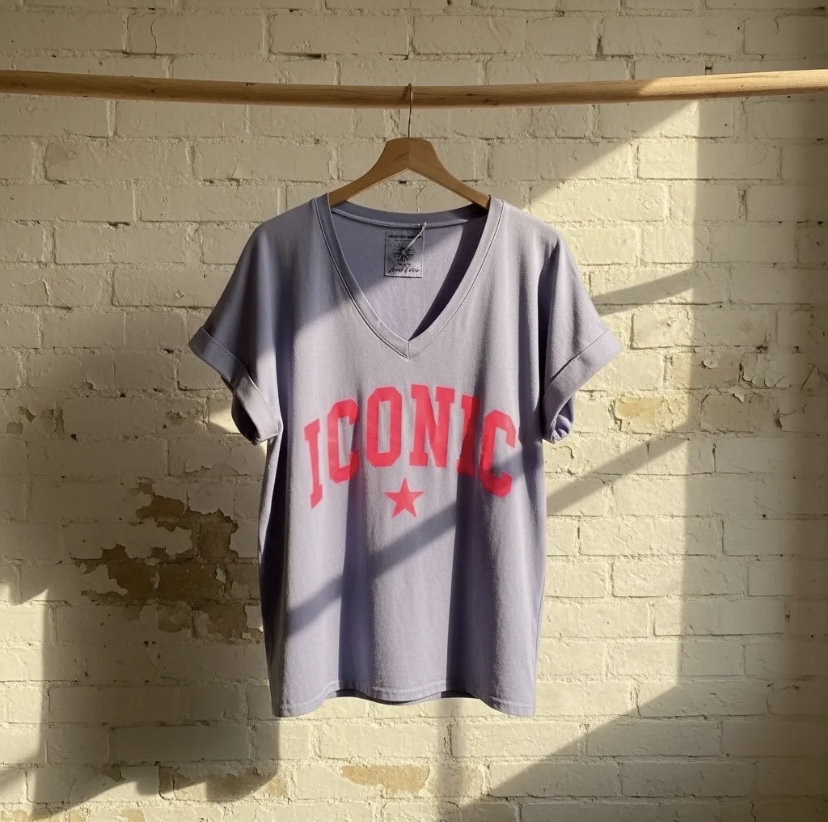 T-SHIRT ICONIC BLEU DELAVE APRIL VINTAGE