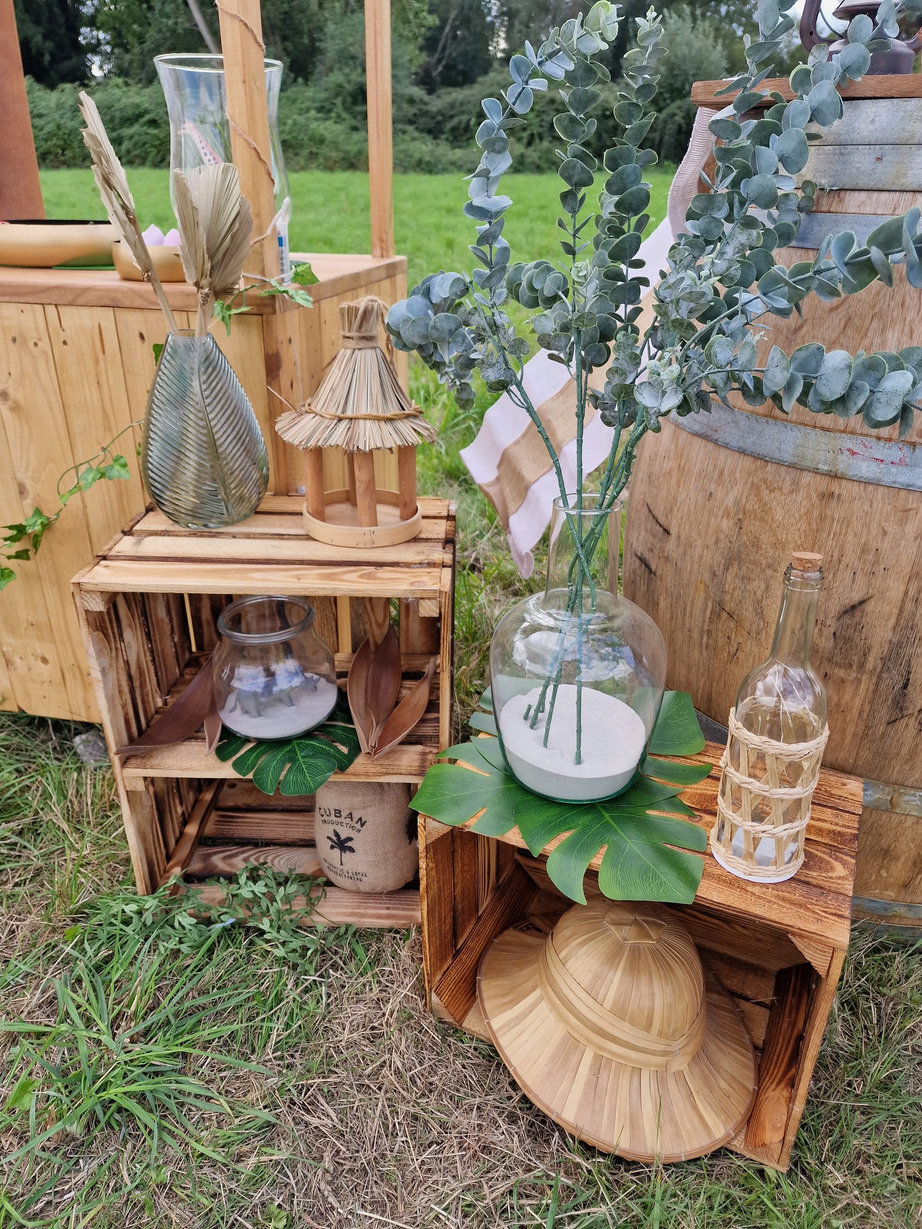 La_Festibox_jungle_location (106)