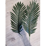 La_Festibox_jungle_location (234)