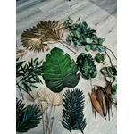 La_Festibox_jungle_location (242)