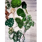 La_Festibox_jungle_location (199)