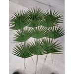 La_Festibox_jungle_location (213)