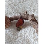 pe11-1