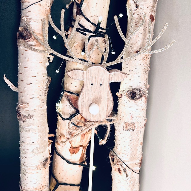 Tête renne pic1