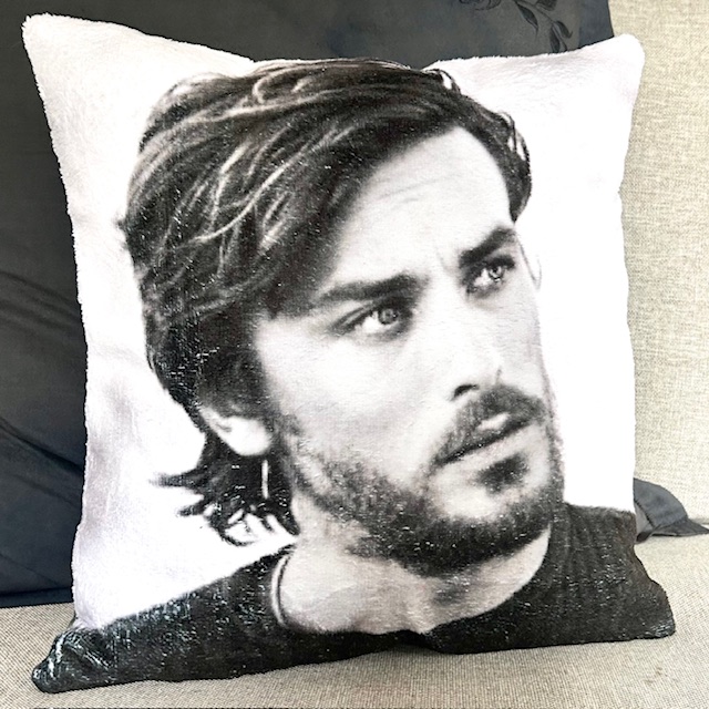 coussin delon