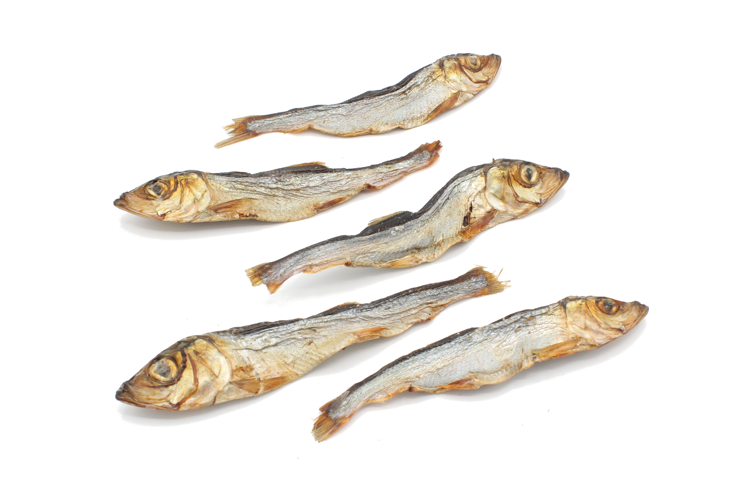 Sprats XL
