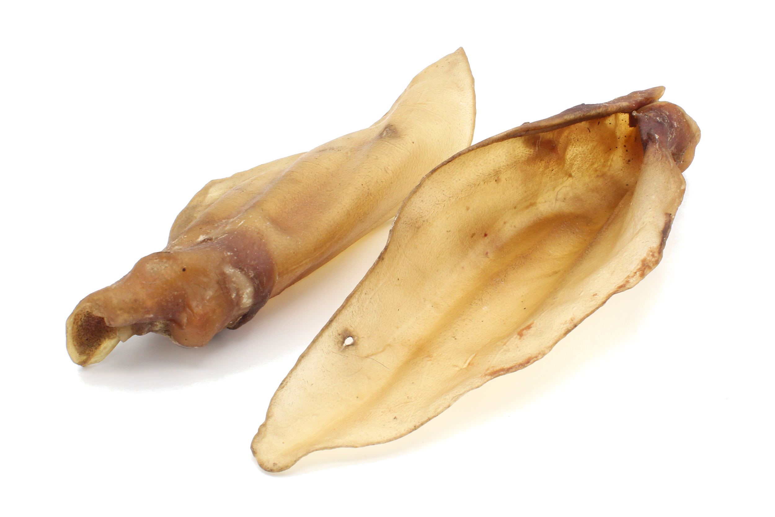 Oreille de cerf