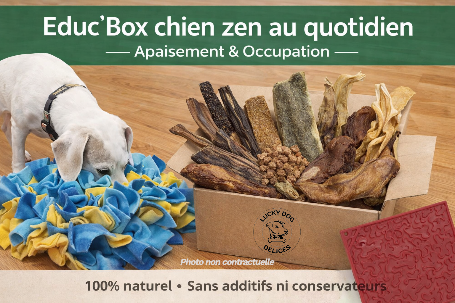 EducBox Chien zen au quotidien