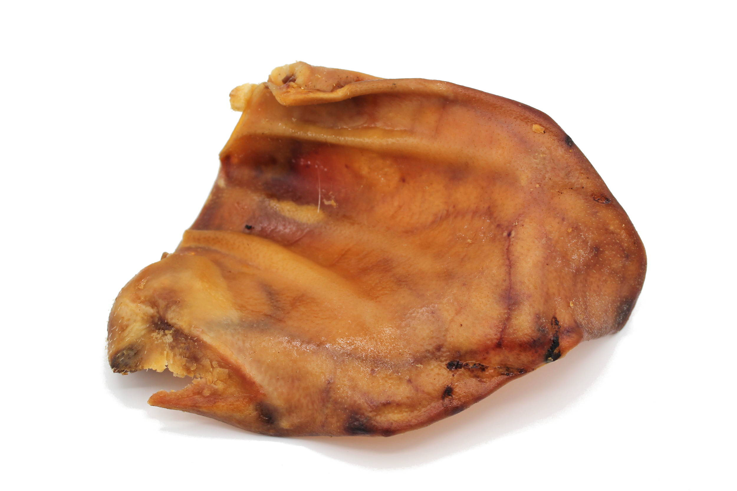 Oreille porc 3