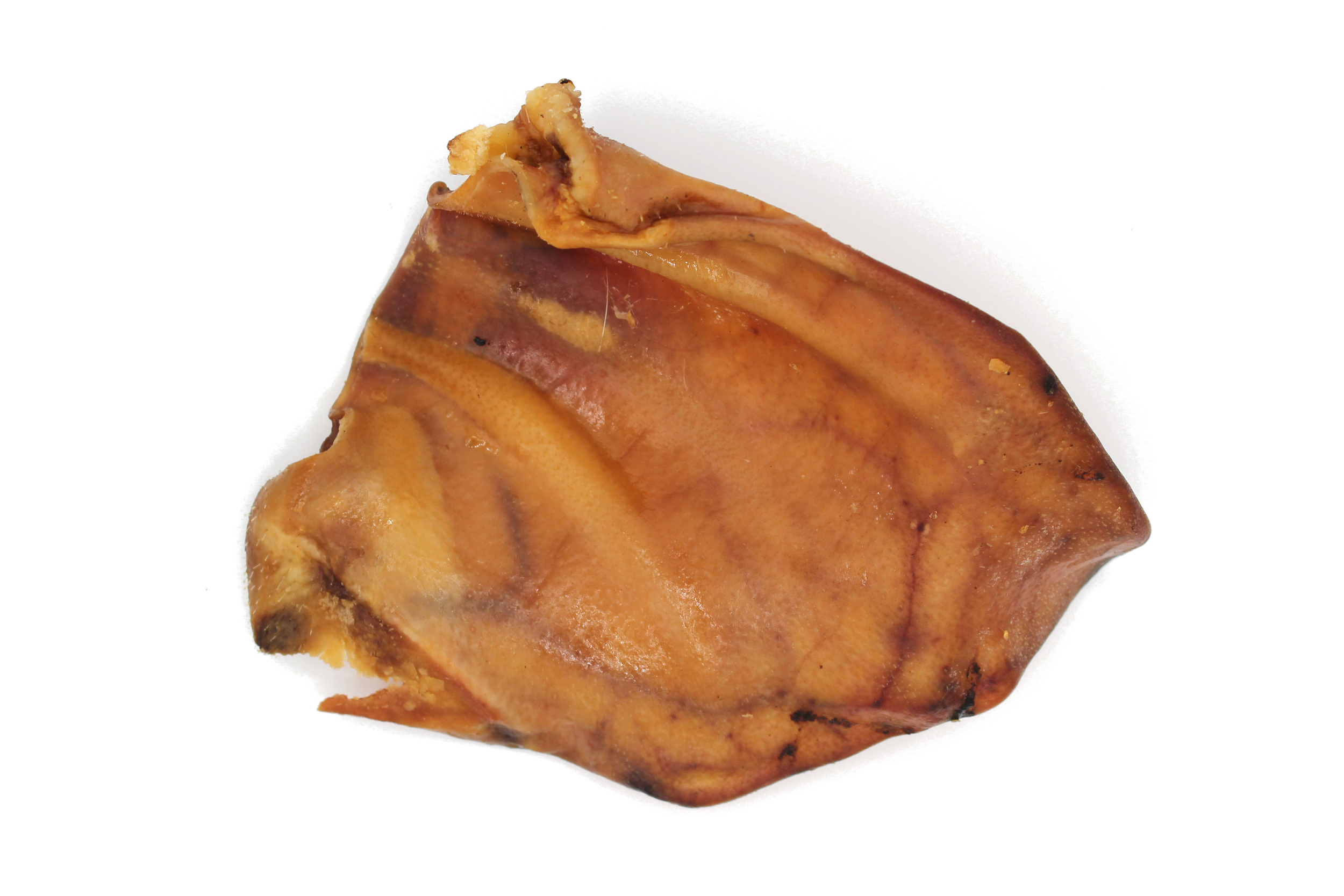 Oreille porc 4