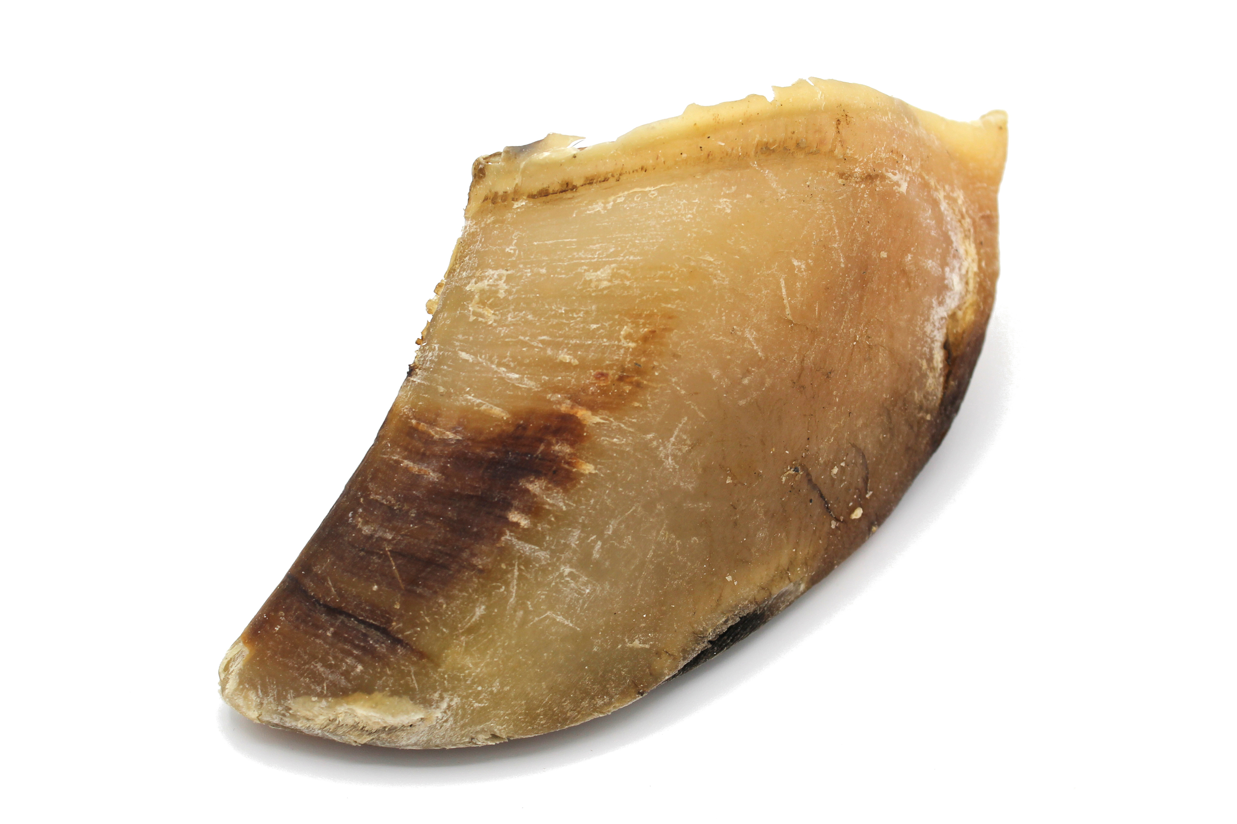 Sabot boeuf 1