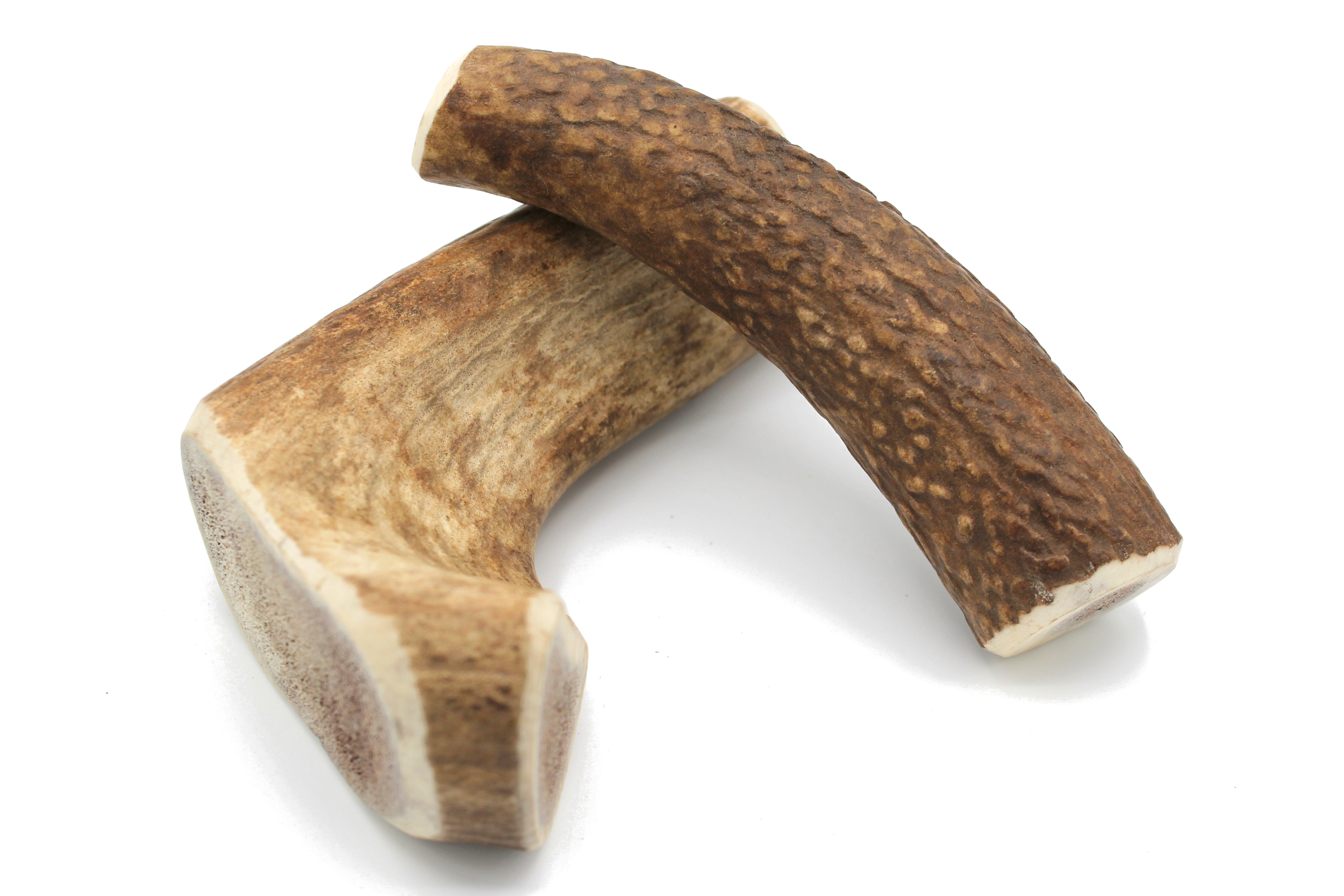 Bois cerf M 1