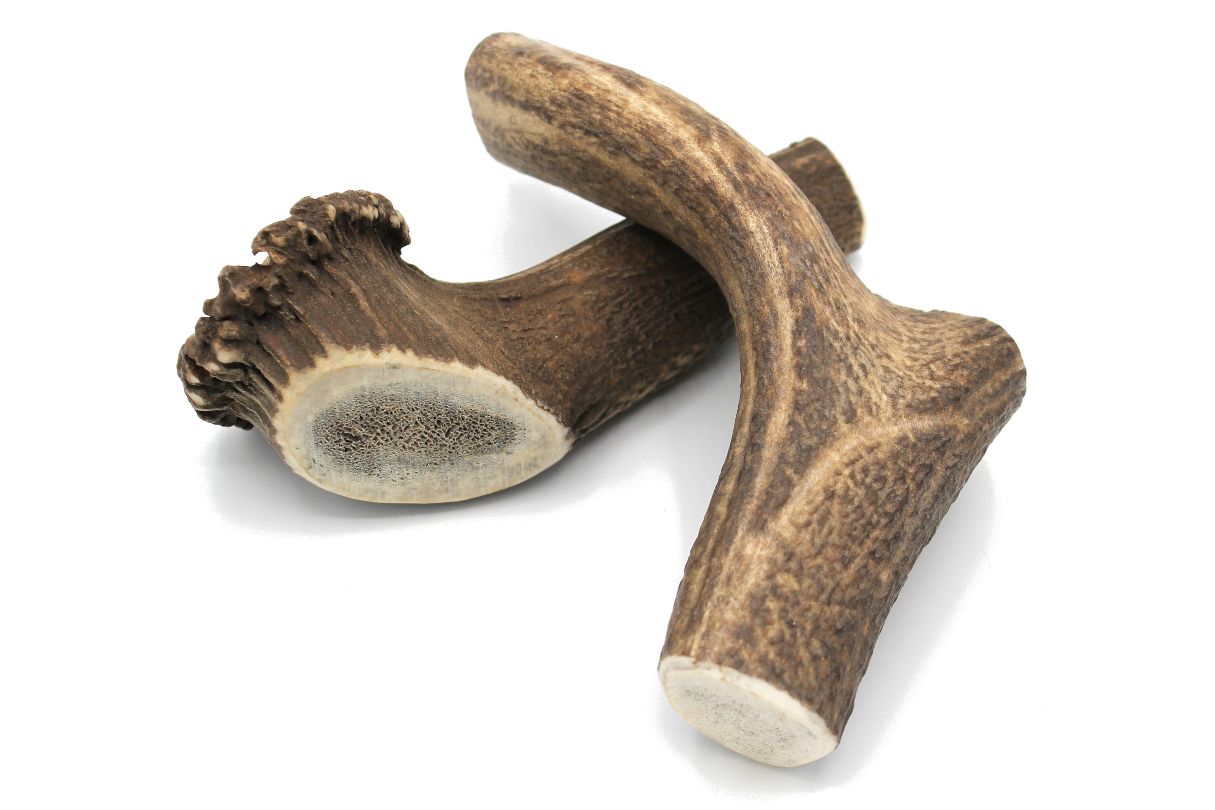 Bois cerf XL 1