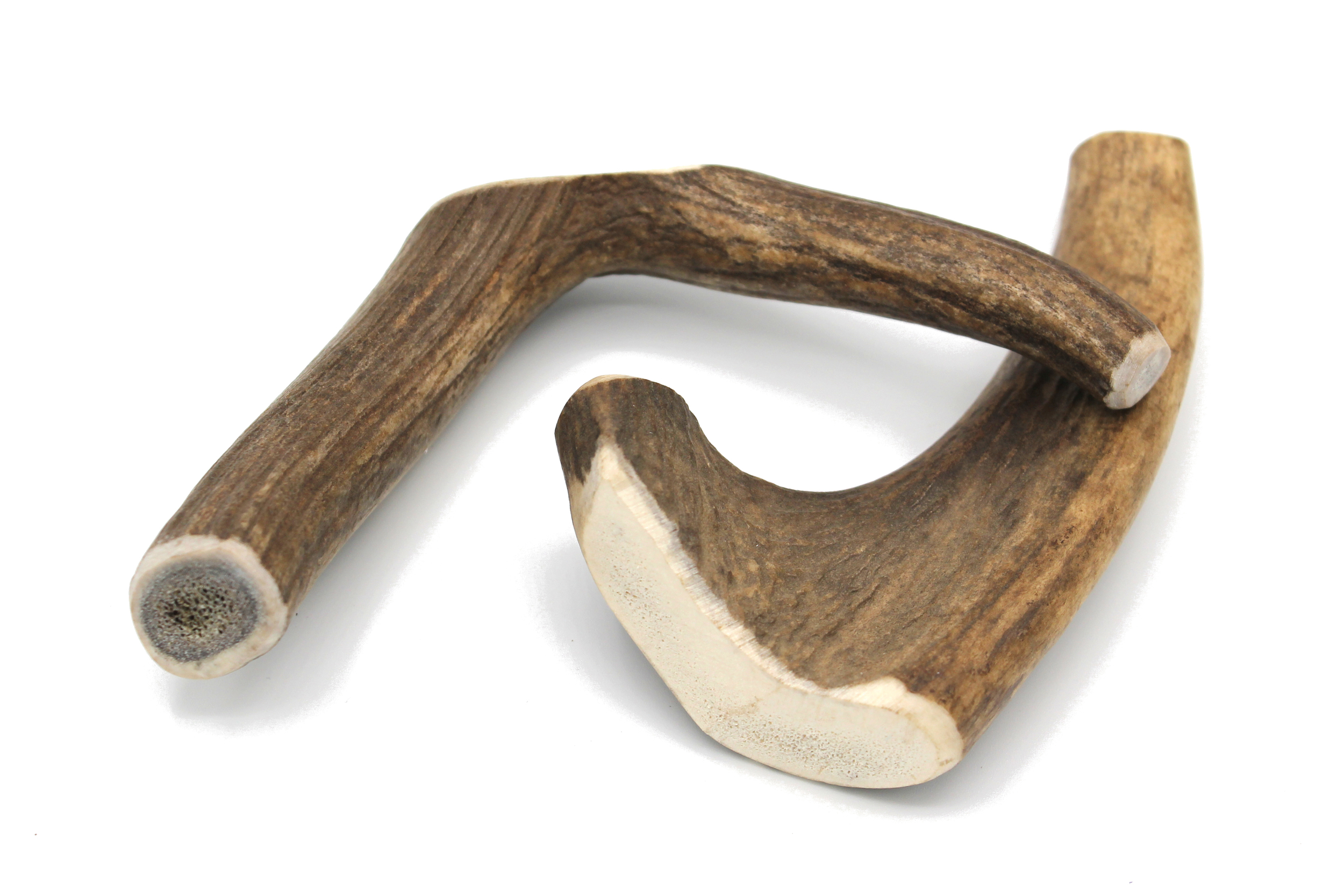 Bois cerf S 1