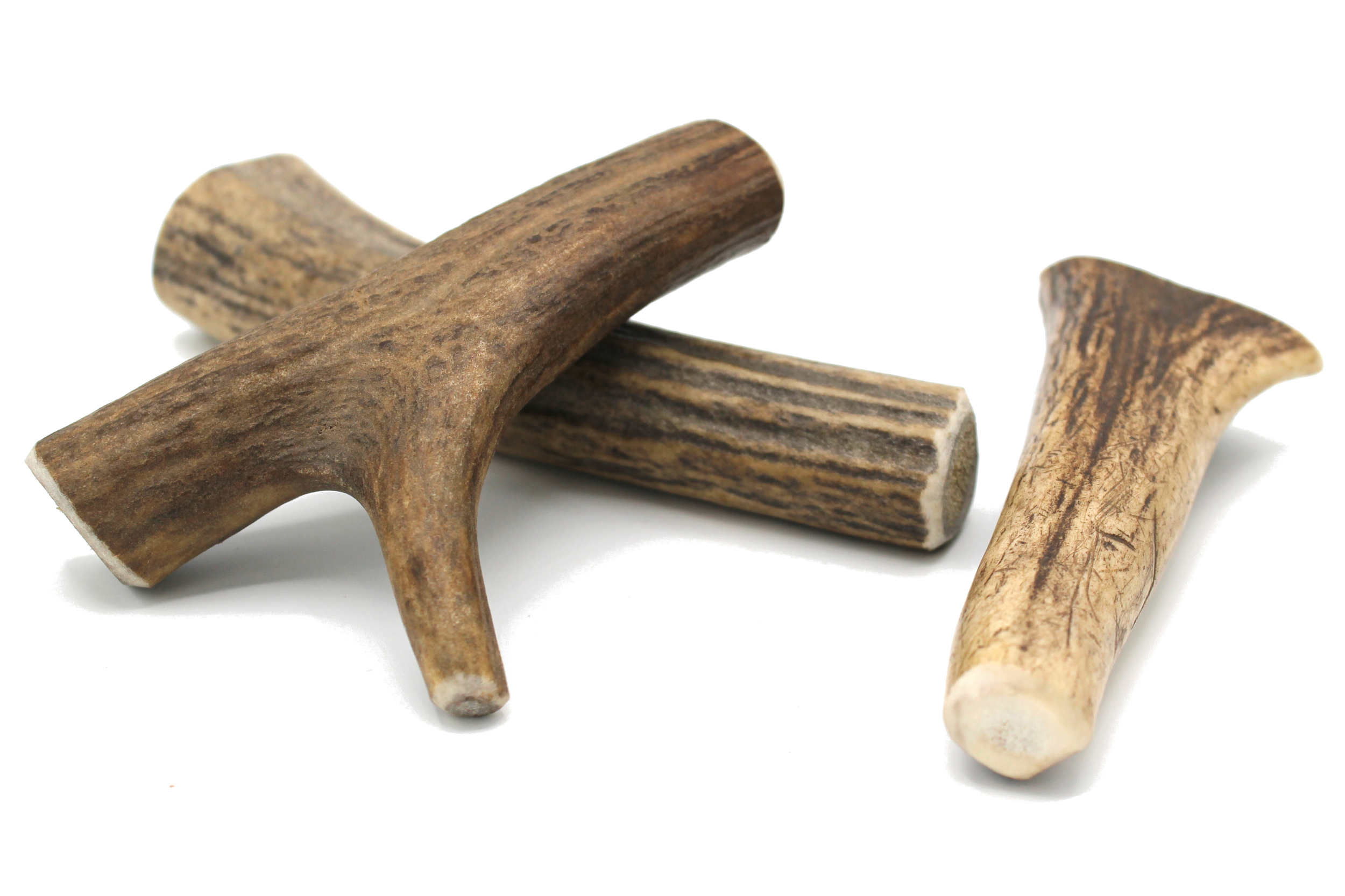 Bois cerf XS 6