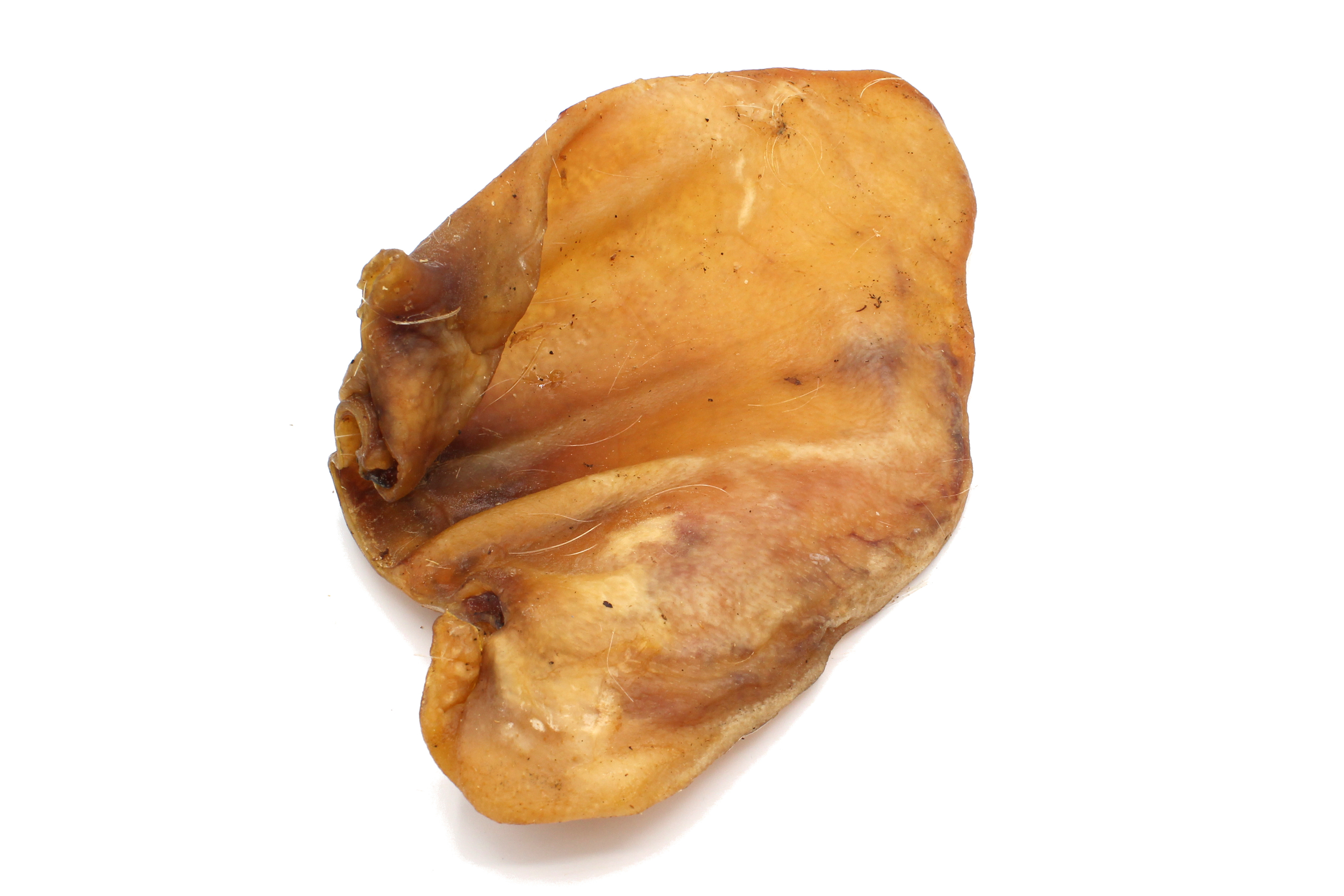 Oreille porc XXL 4