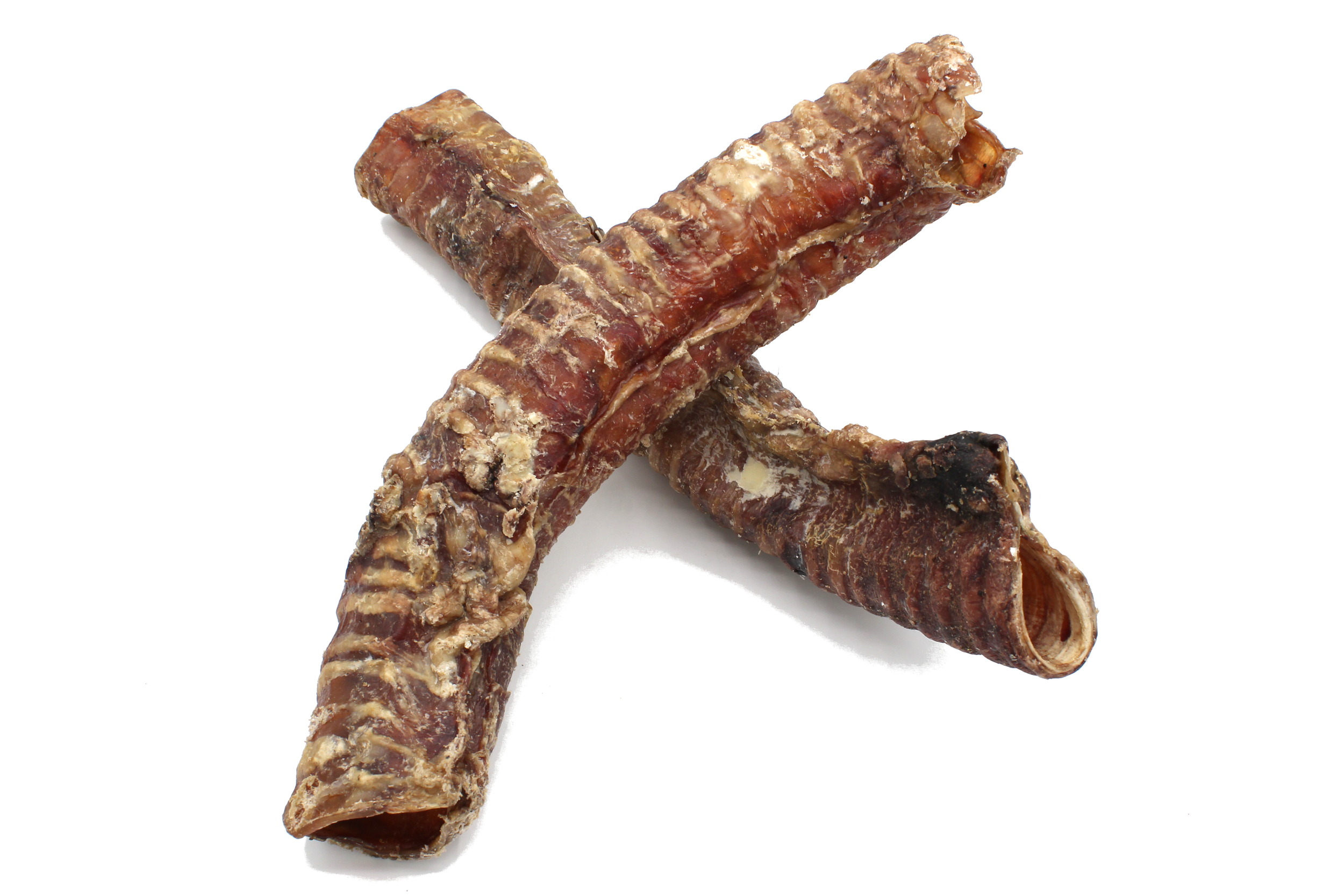 Trachée de boeuf 2