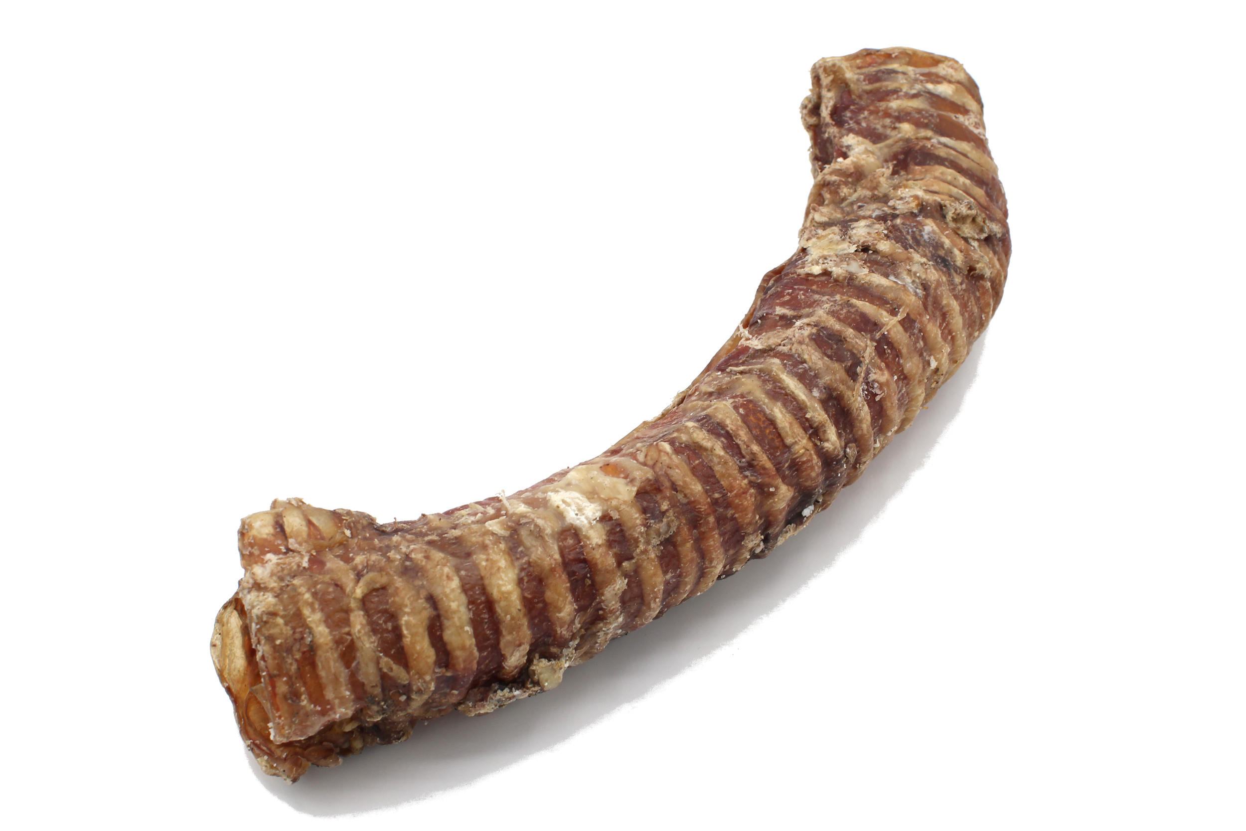 Trachée de boeuf 3