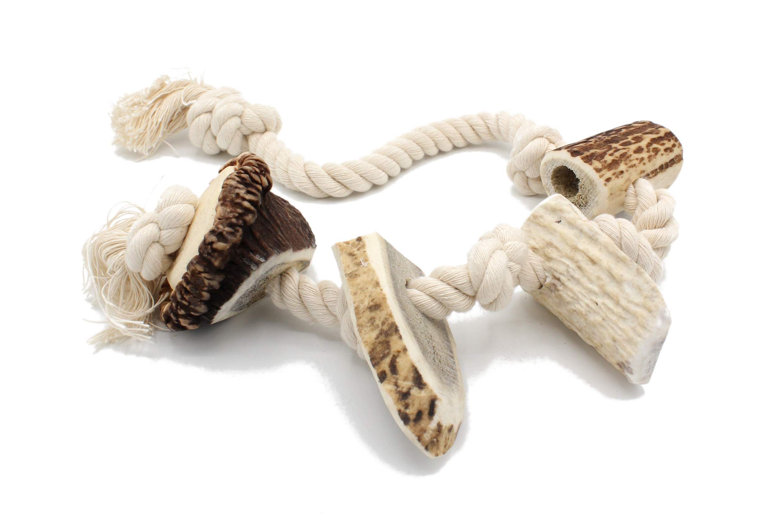 Corde bois cerf L 1