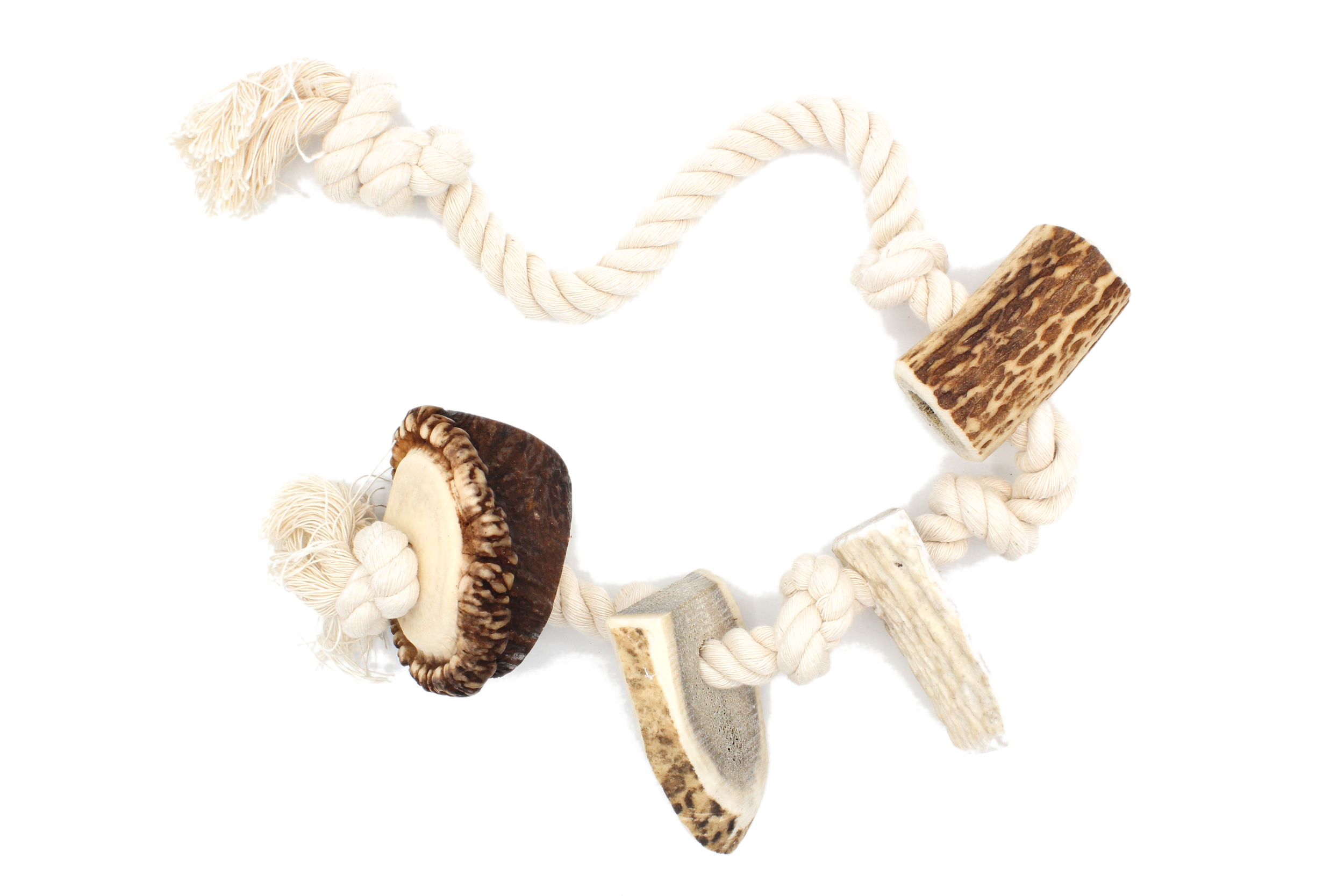Corde bois cerf L 2