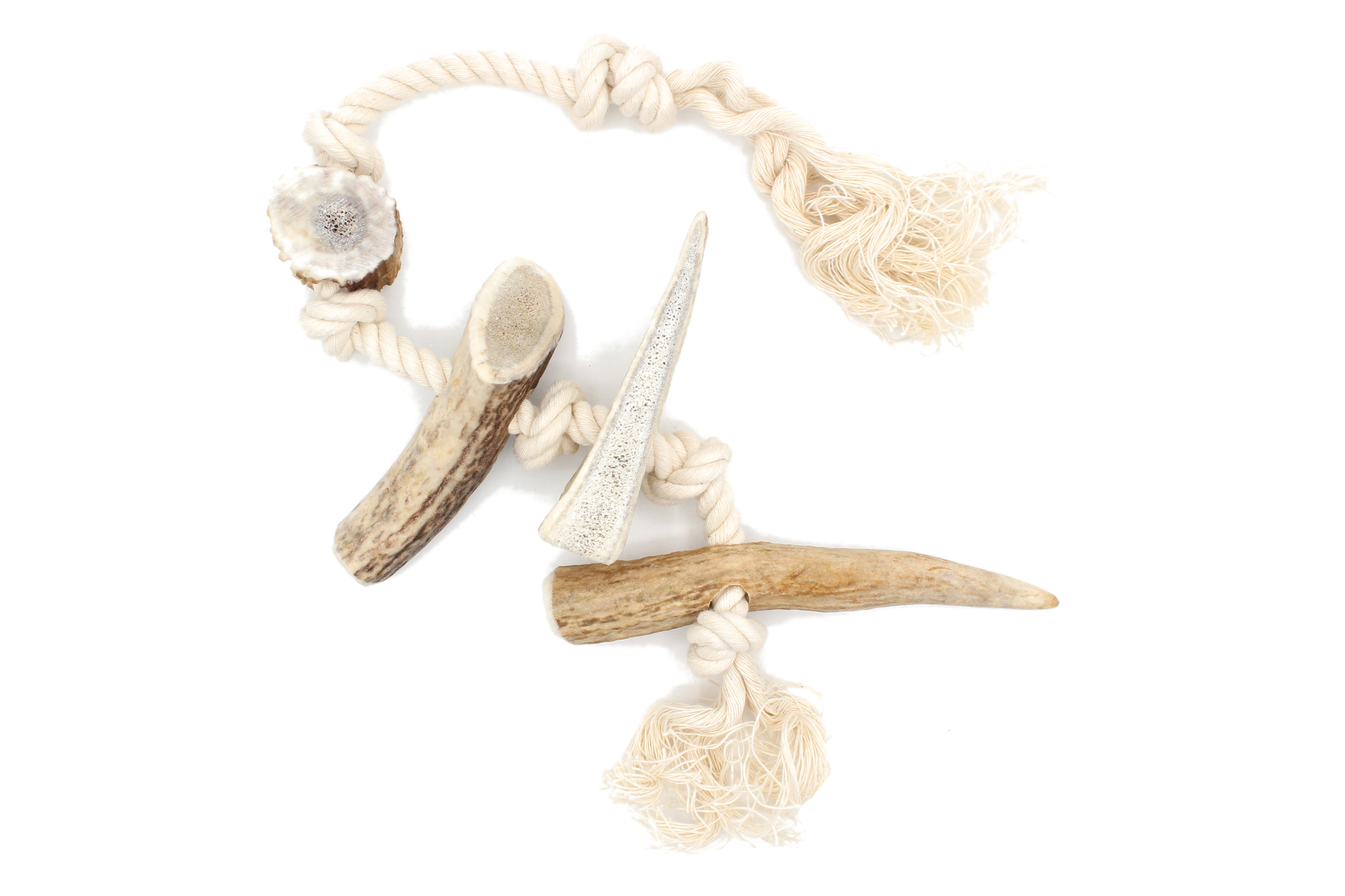 Corde bois cerf M 2
