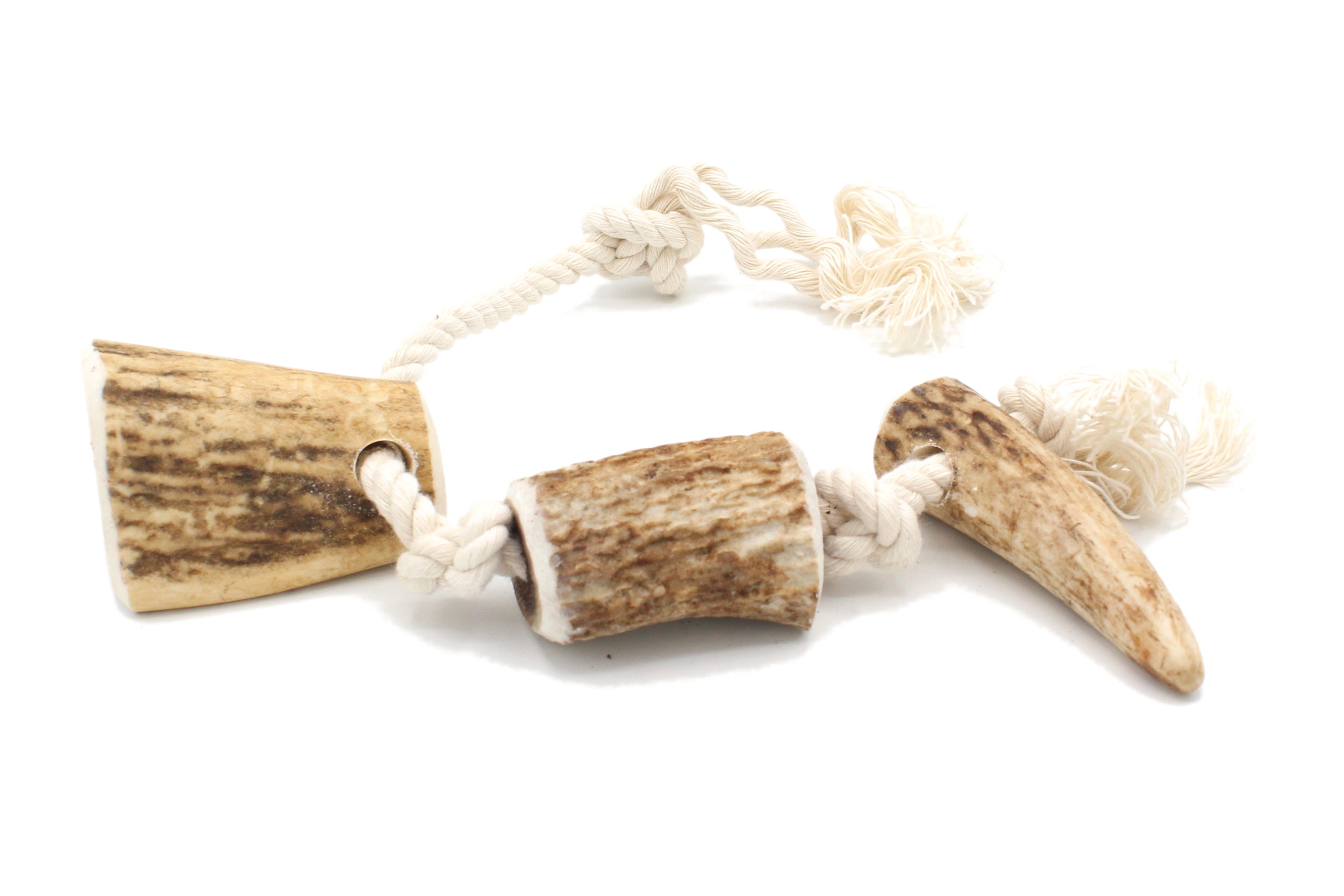 Corde bois cerf S 1