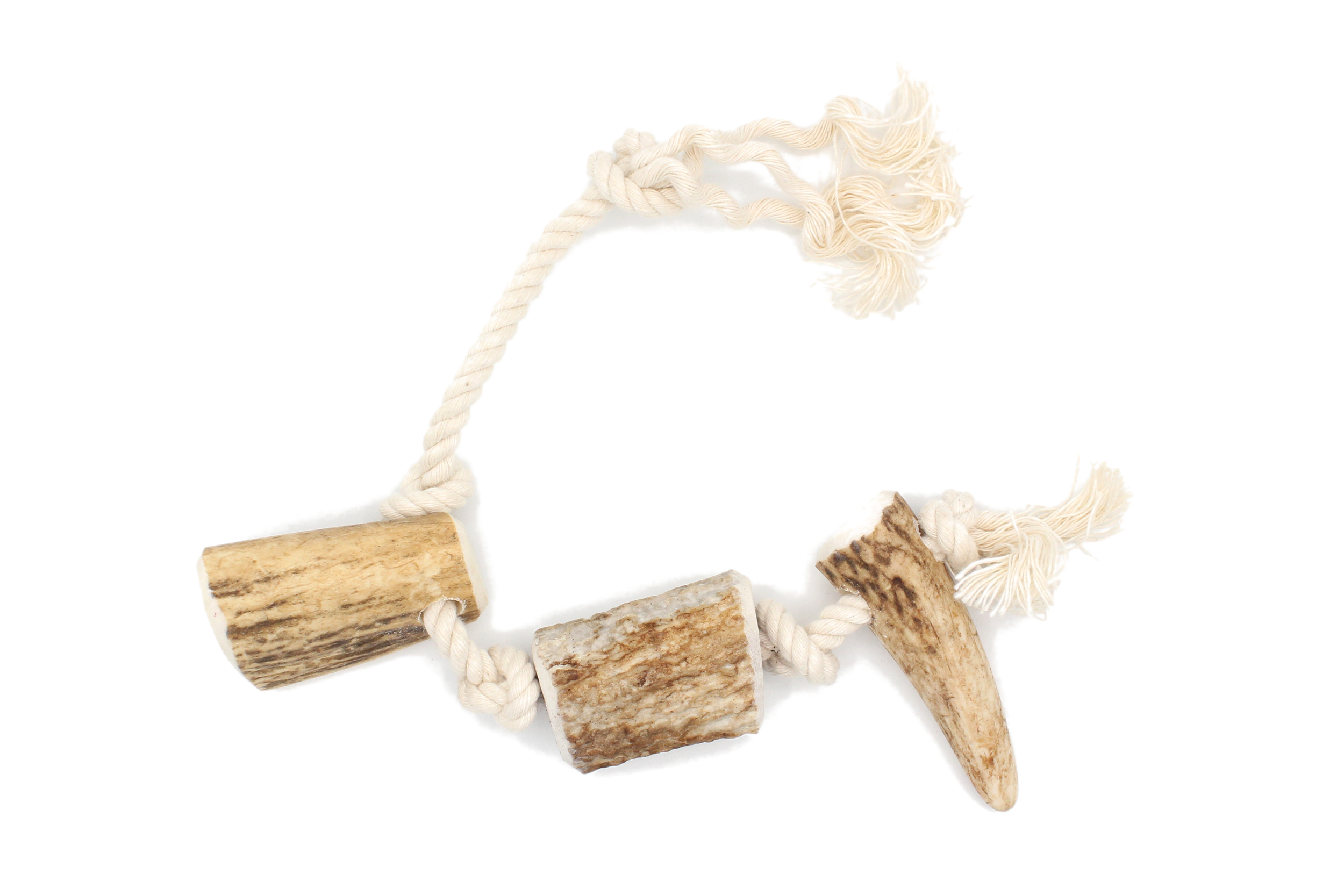 Corde bois cerf S 2