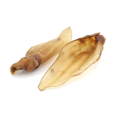 Oreille de cerf
