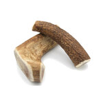 Bois cerf M 1