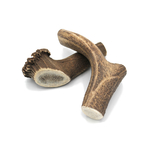 Bois cerf XL 1