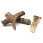 Bois cerf XS 6