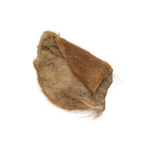 Oreille de veau avec poils 4