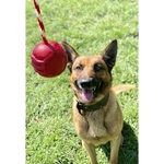 25dfe4bcee098976bccdb350e55700e5ac7b1f295976a7407414d3cdba044259