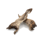 Oreille cerf 1