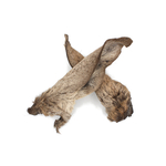 Oreille cerf 2