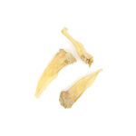Oreille agneau 2
