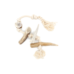 Corde bois cerf M 2