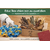 EducBox Chien zen au quotidien