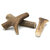 Bois cerf XS 6