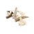 Corde bois cerf M 1