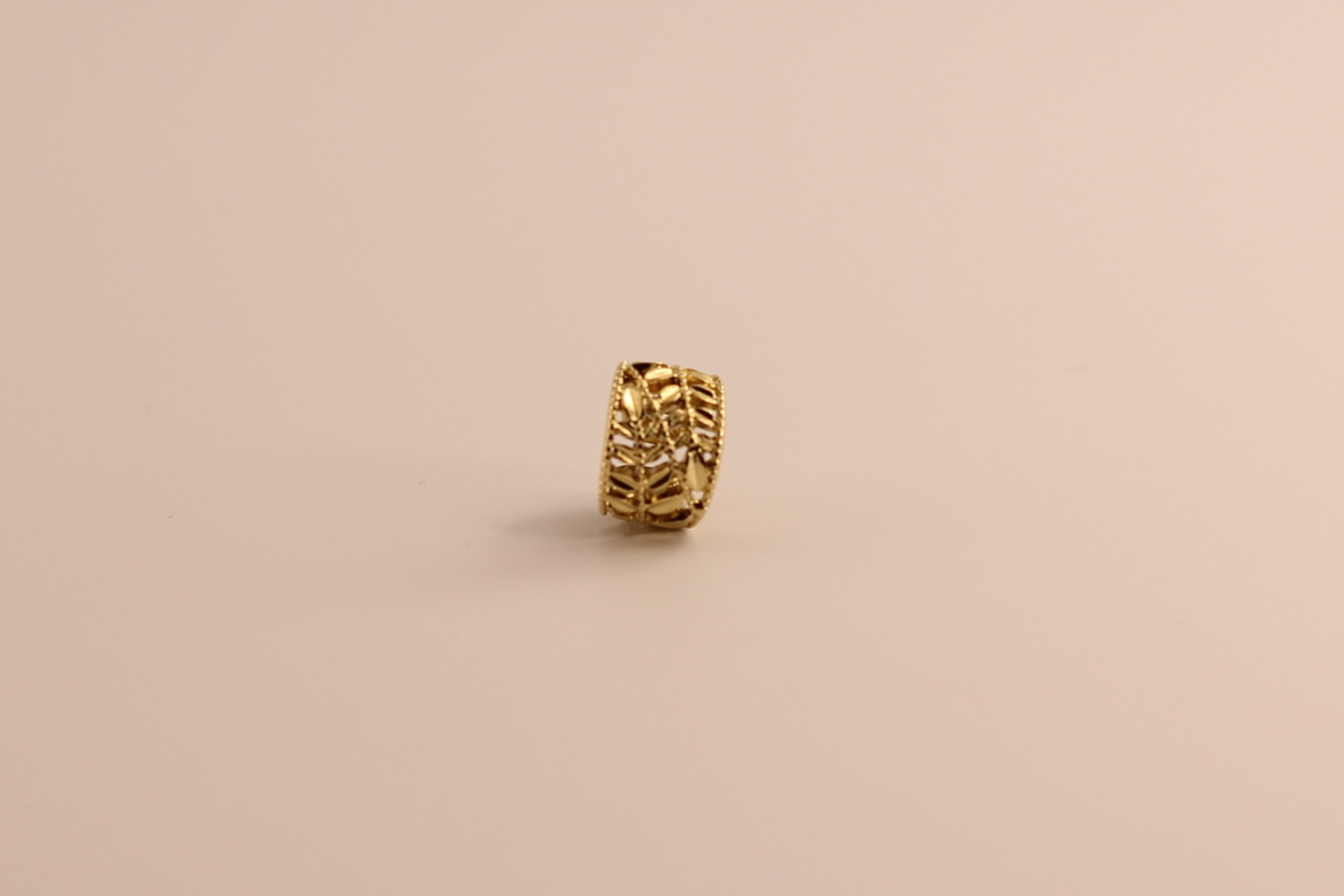 Bague doreilles acier doré