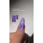 collection cat eye magnetique gel vernis coréen