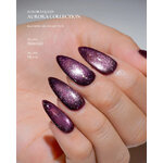 aurora collection de cat eye coréen vernis et gels