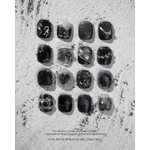 Black label collection gel et vernis coréens pros