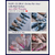 Masterclass dgel online global nail art tendance coréen